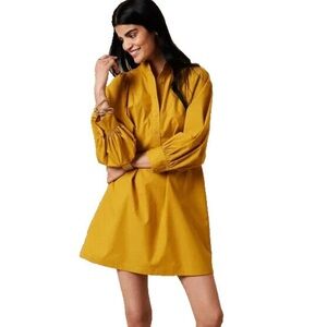 Ginkgo Yellow Popover Shirt Dress